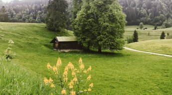 Streifen durch die Natur: der wahre Luxus