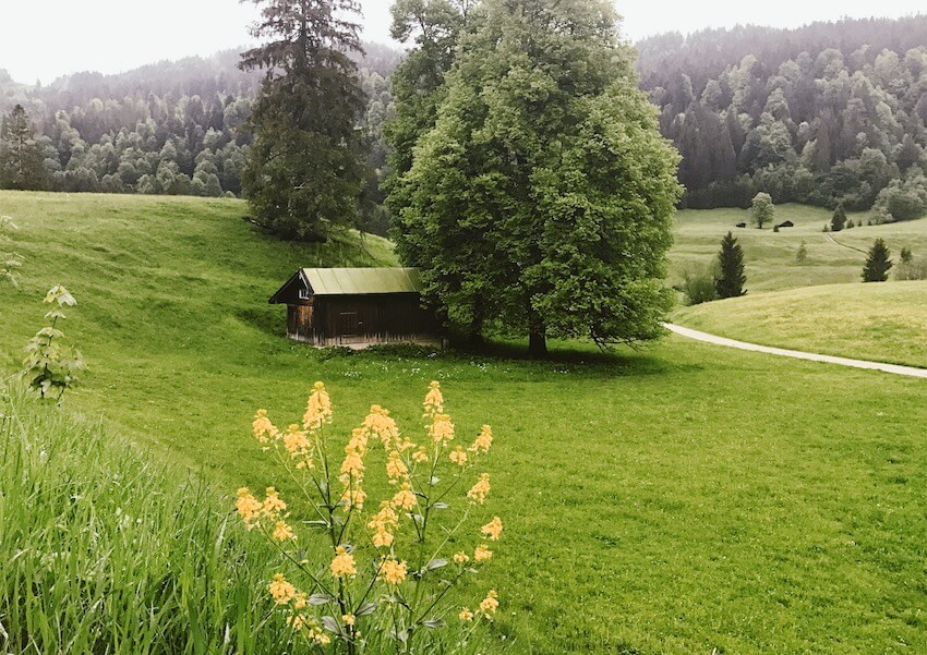 Streifen durch die Natur: der wahre Luxus