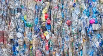 Plastikflaschen . Bild: NanD_PhanuwatTH / Shutterstock.com.