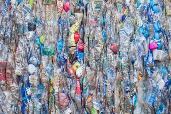 Plastikflaschen . Bild: NanD_PhanuwatTH / Shutterstock.com.