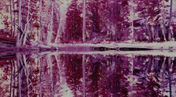 Desolation Wilderness, CA (shot on Kodak EIR color infrared slide film)