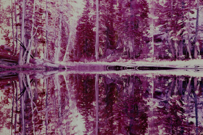 Desolation Wilderness, CA (shot on Kodak EIR color infrared slide film)