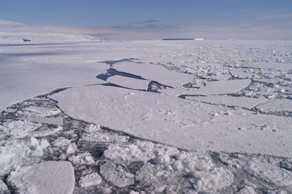 sea ice